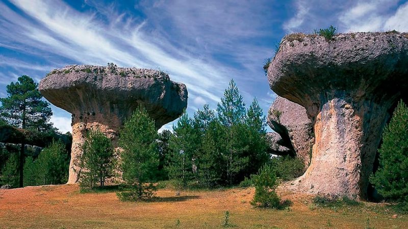 VISITAS EN MARZO 2026